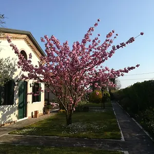 Guest house Casa Pianta