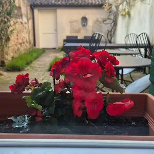 Bed & Breakfast 19 Borgo Cavour